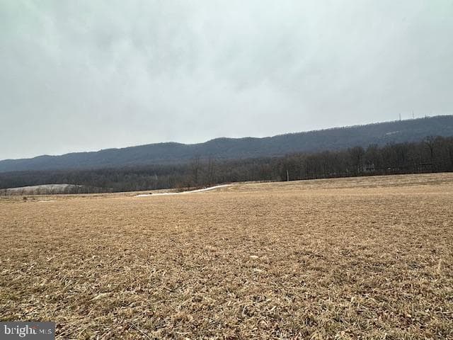 19642 Raystown photo 43