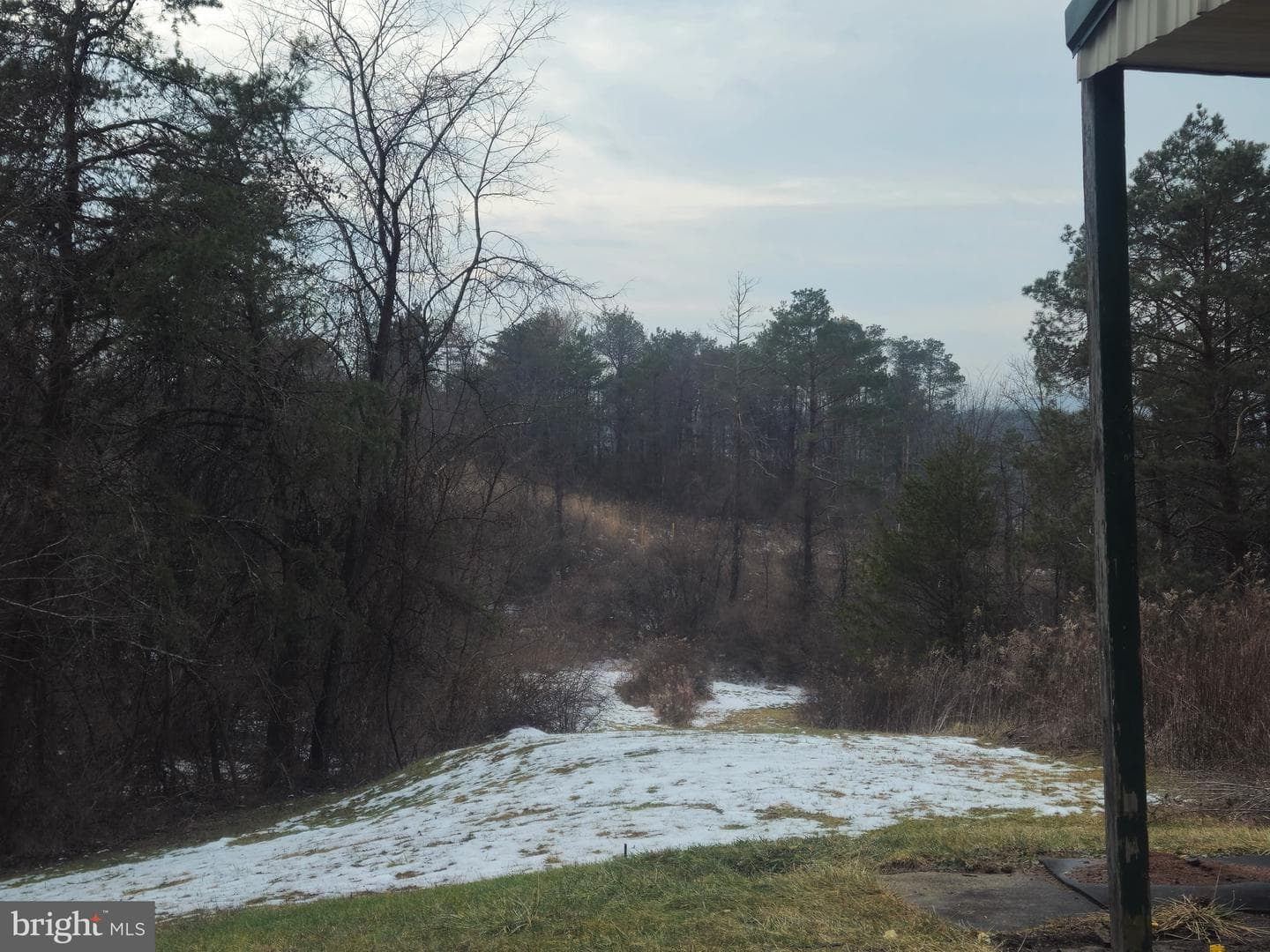 15732 Walnut Hill Drive photo 8