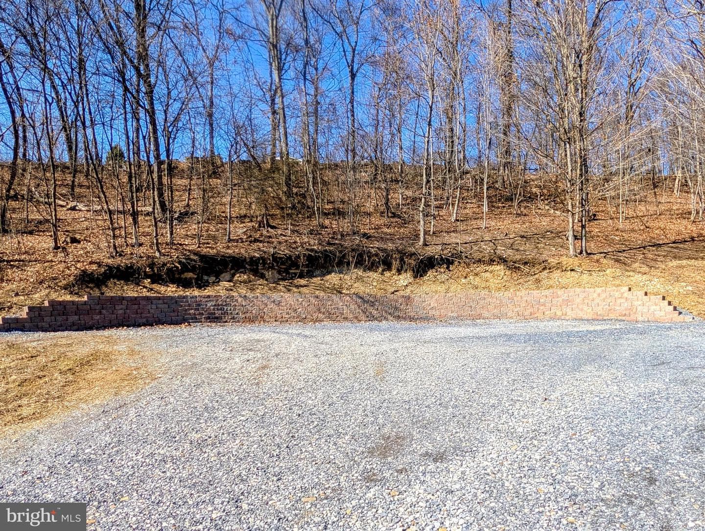 1807 Pine Ridge Road photo 79
