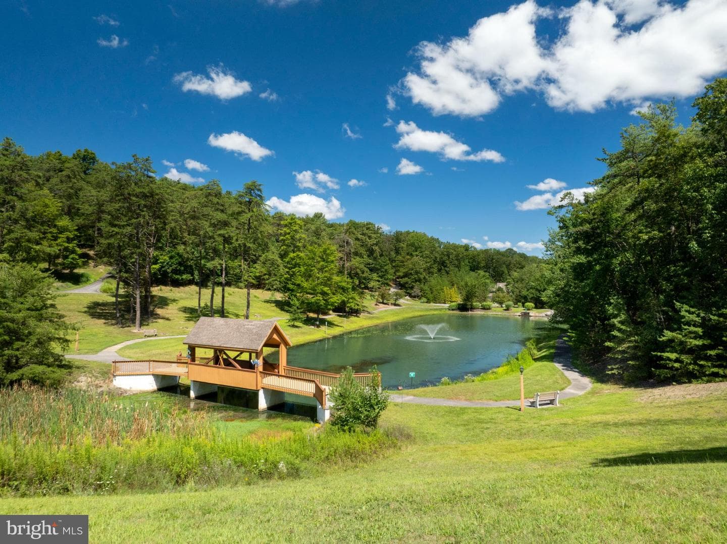 12946 Lakeland Drive photo 69