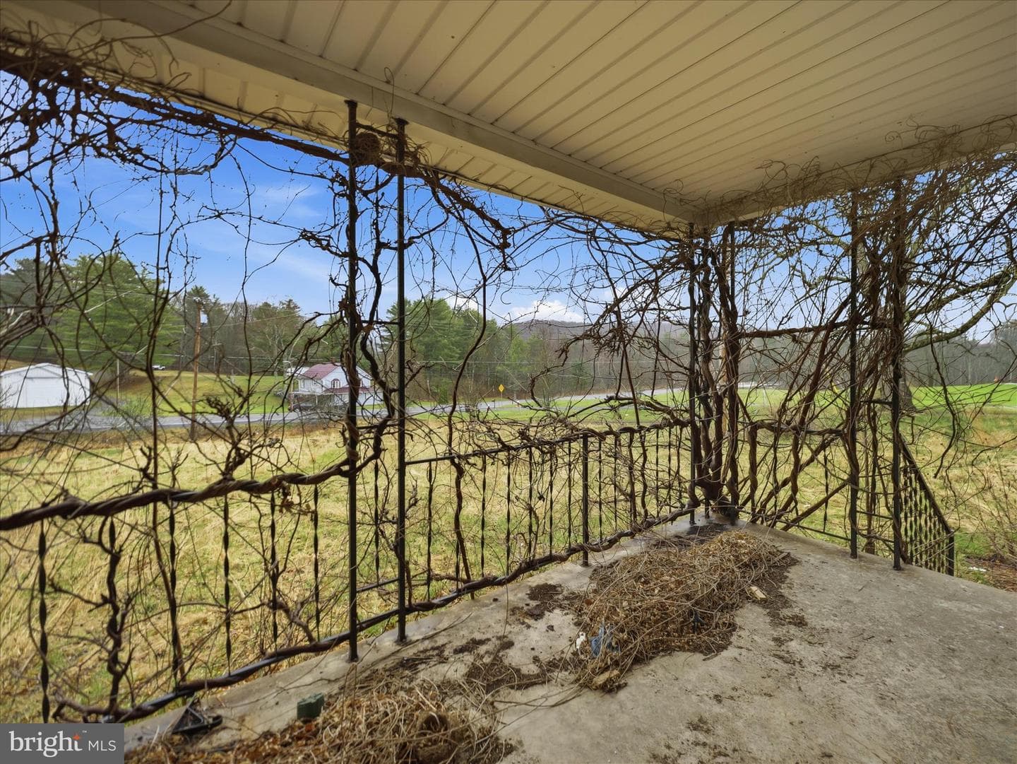 17958 Cooks Road photo 36