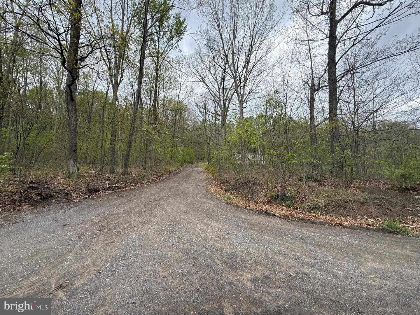 15232 Wrangletown Road photo 2