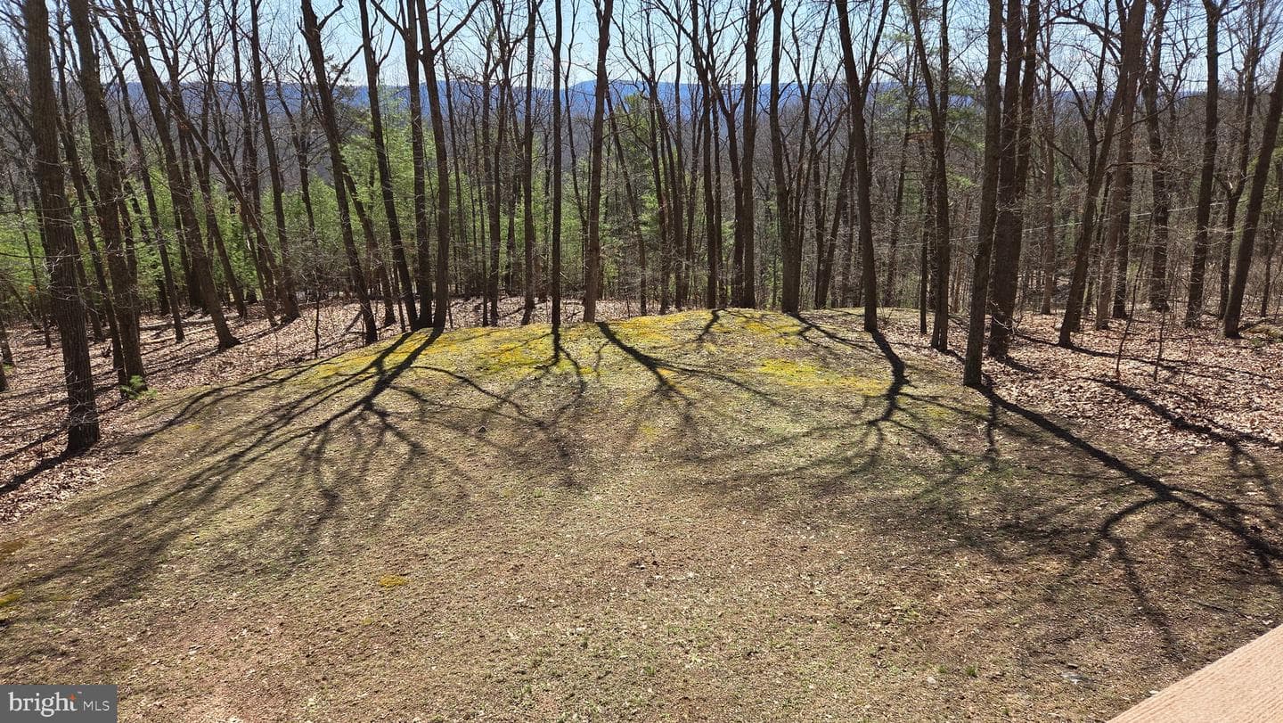 3027 Whitesel Road photo 50