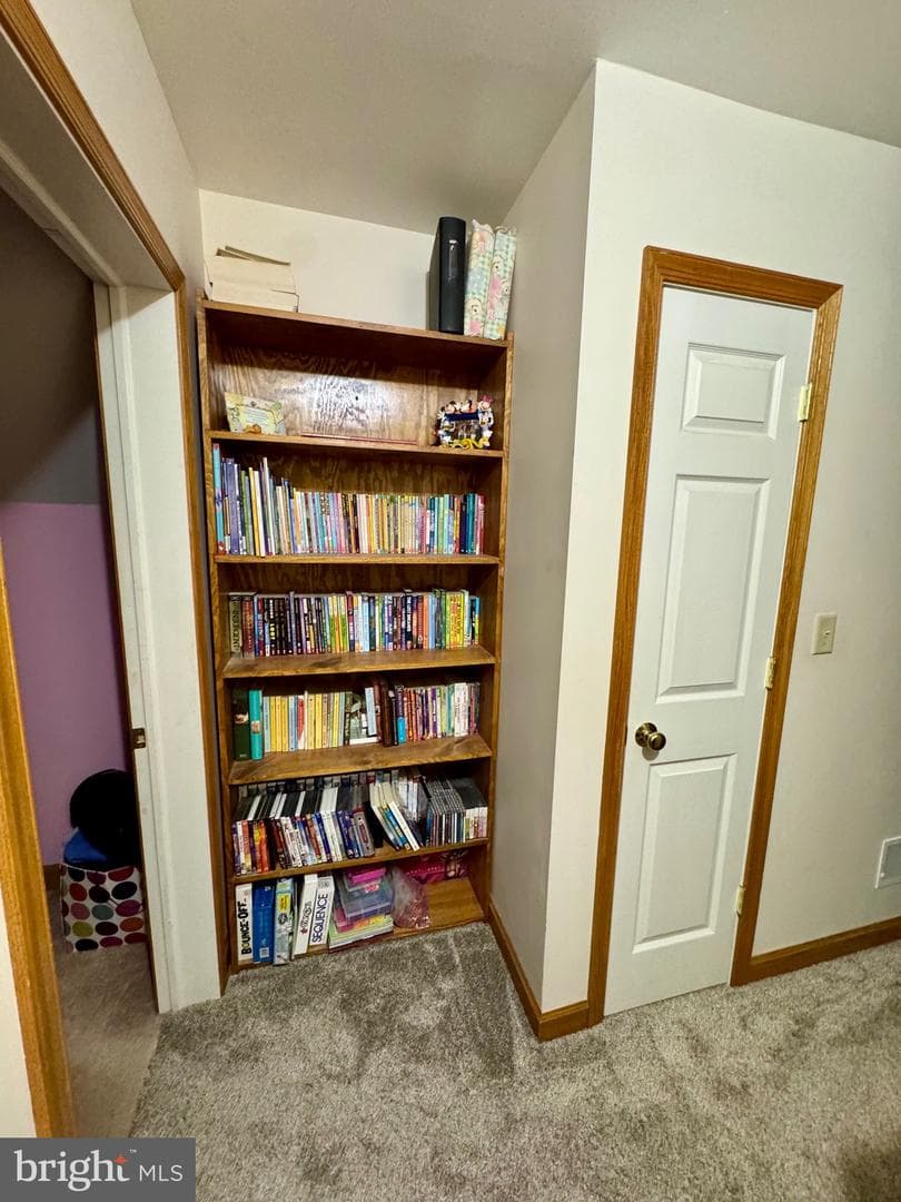 12929 Lakeland Drive photo 36