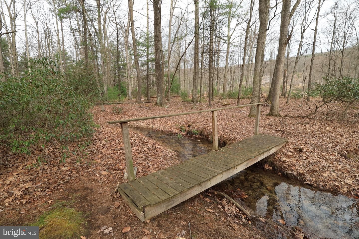 2469 Laurel Run Road photo 10