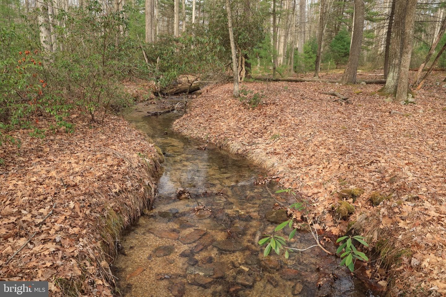 2469 Laurel Run Road photo 11