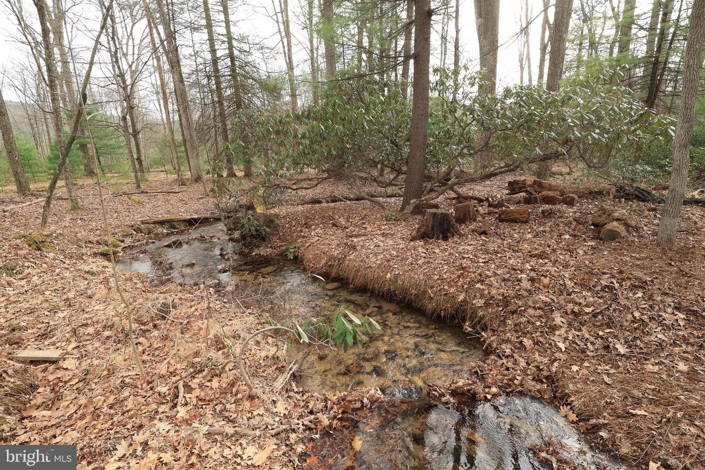 2469 Laurel Run Road photo 14