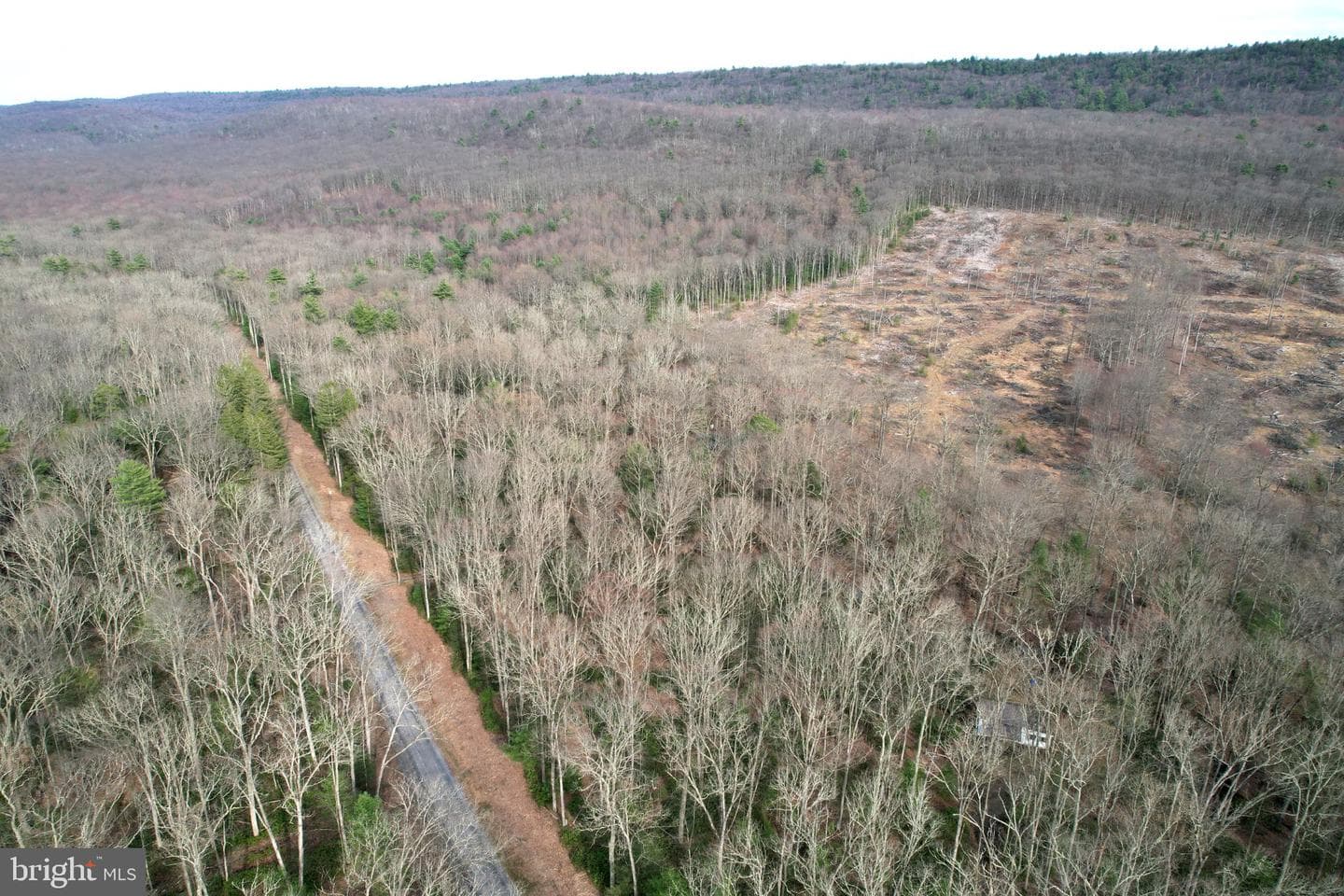 2469 Laurel Run Road photo 39