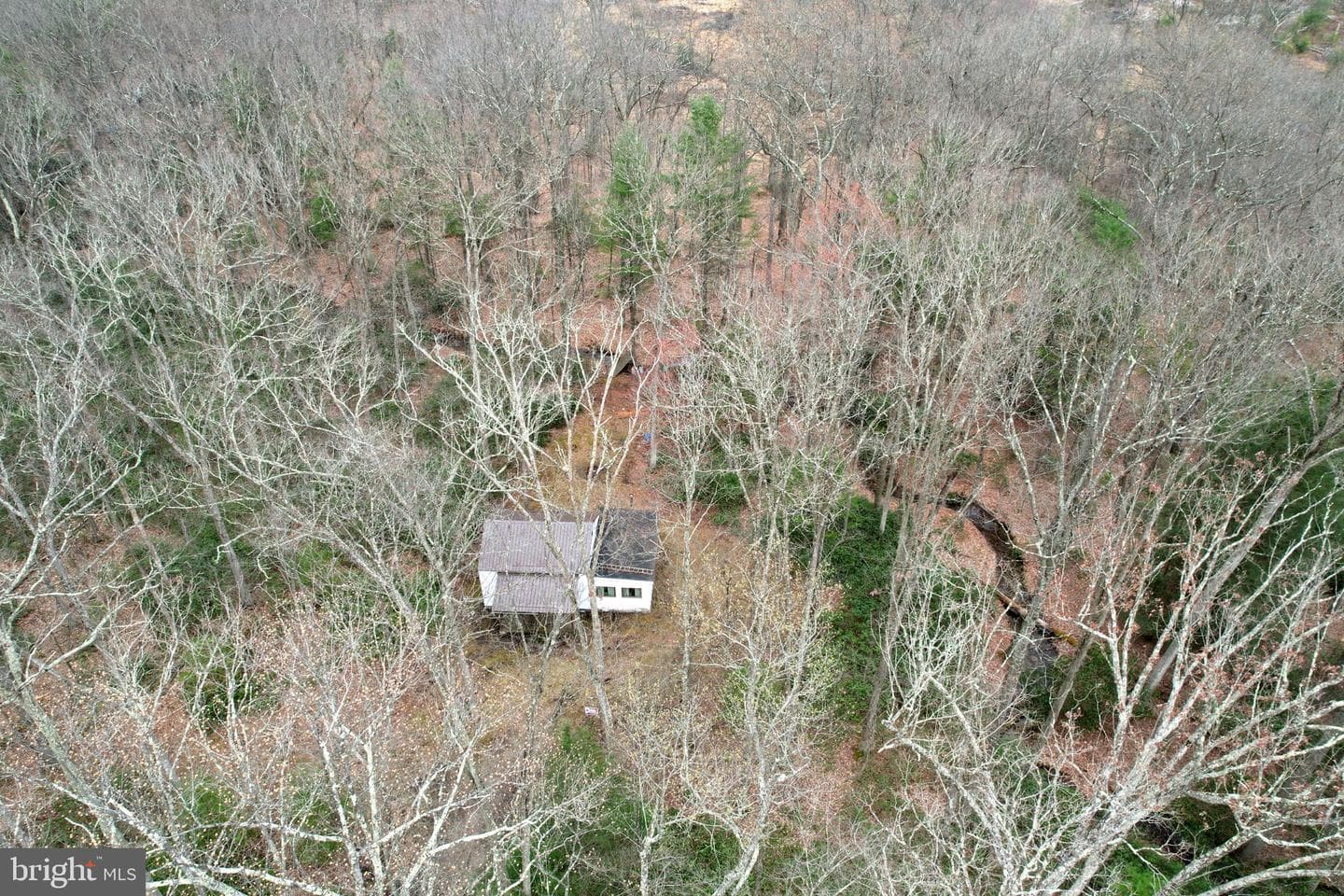 2469 Laurel Run Road photo 4