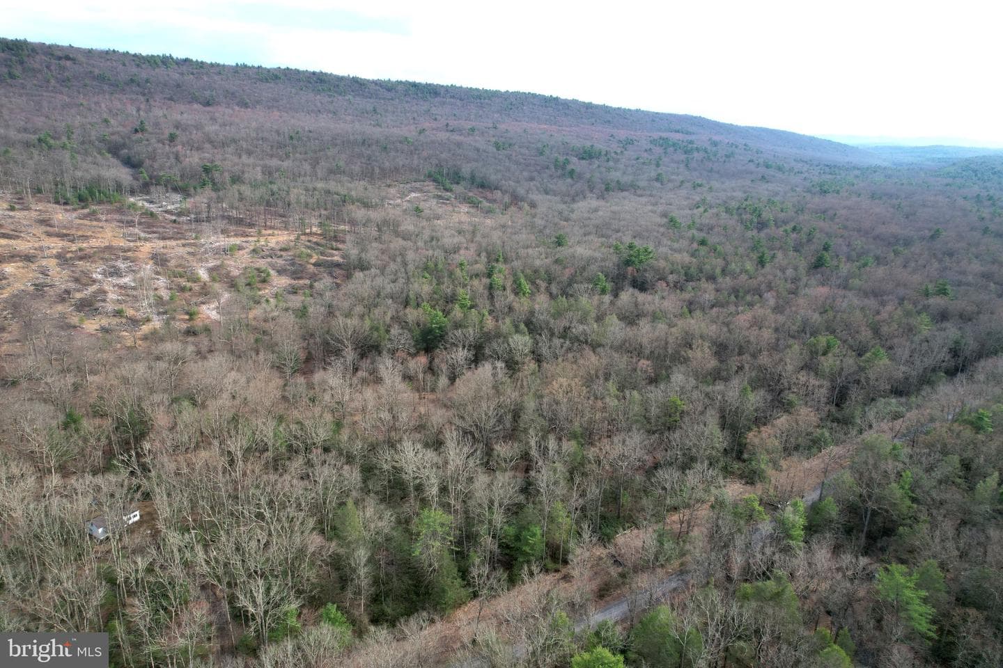 2469 Laurel Run Road photo 41
