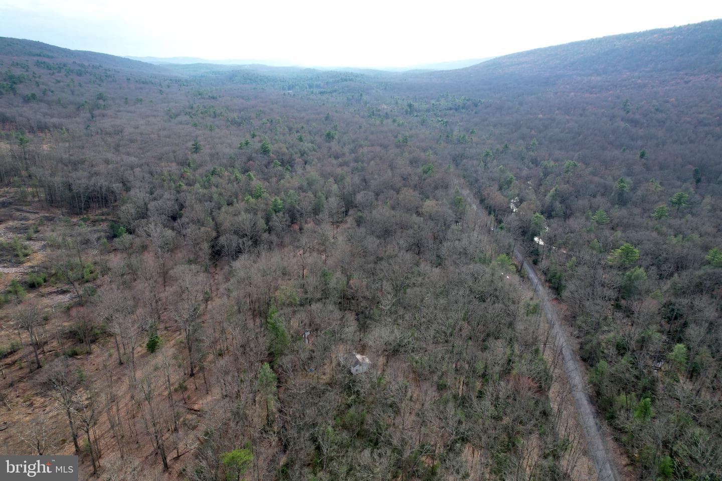 2469 Laurel Run Road photo 42