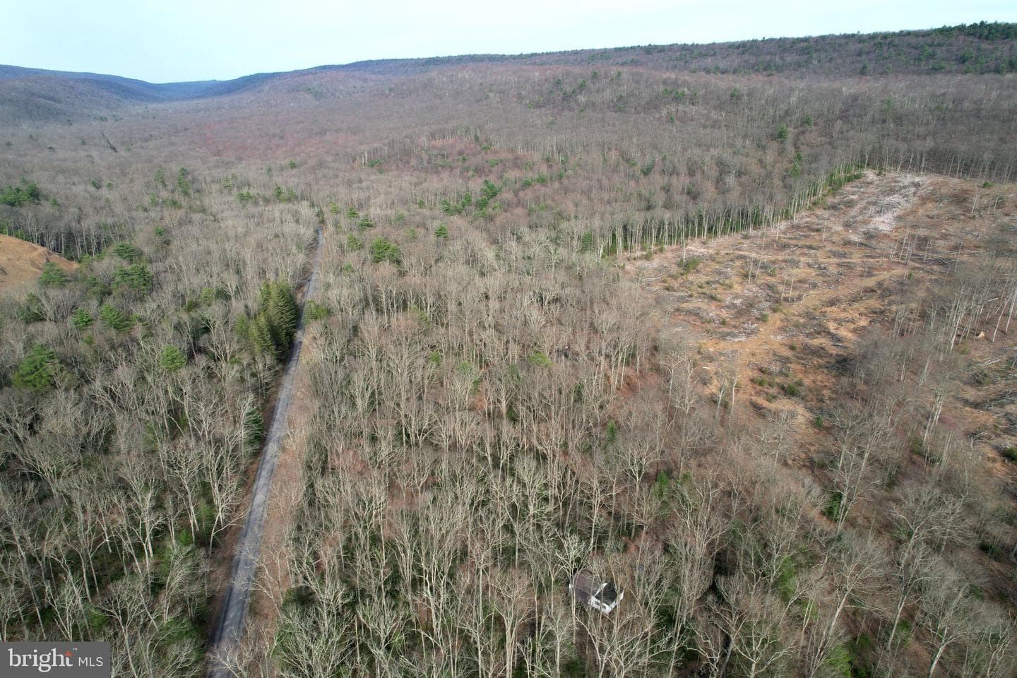 2469 Laurel Run Road photo 43