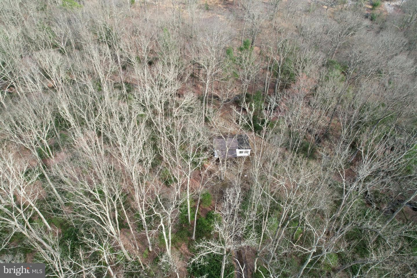 2469 Laurel Run Road photo 45