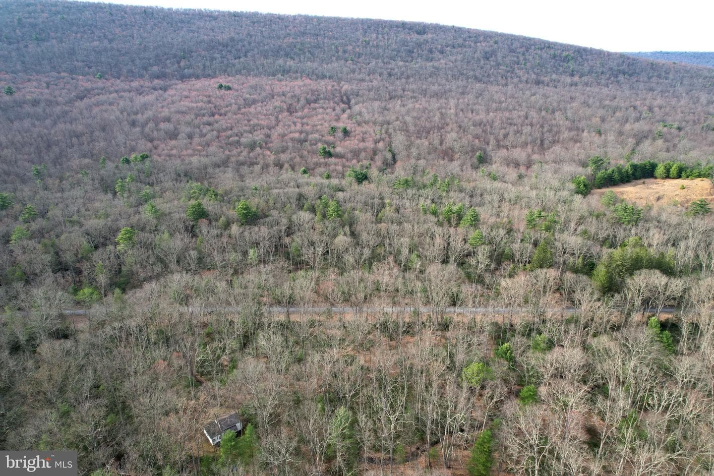 2469 Laurel Run Road photo 46