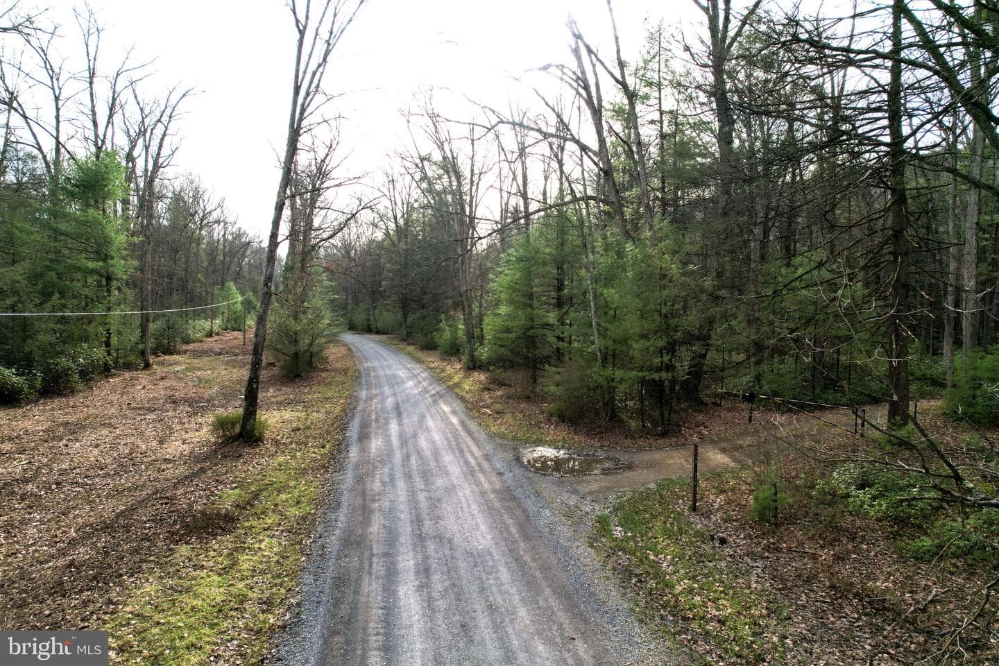 2469 Laurel Run Road photo 47