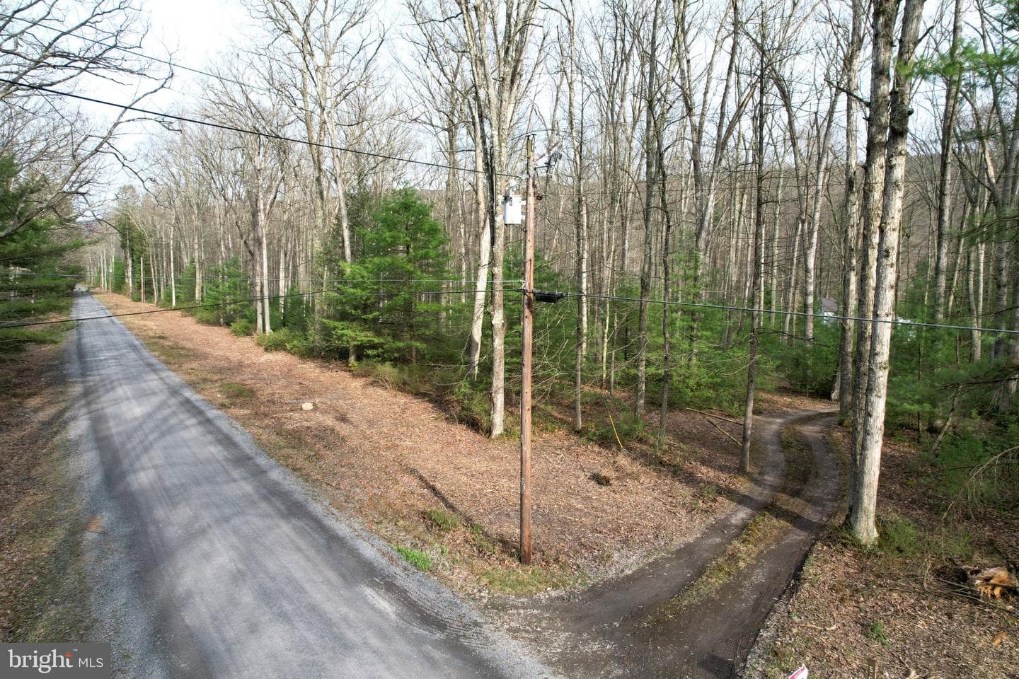 2469 Laurel Run Road photo 48