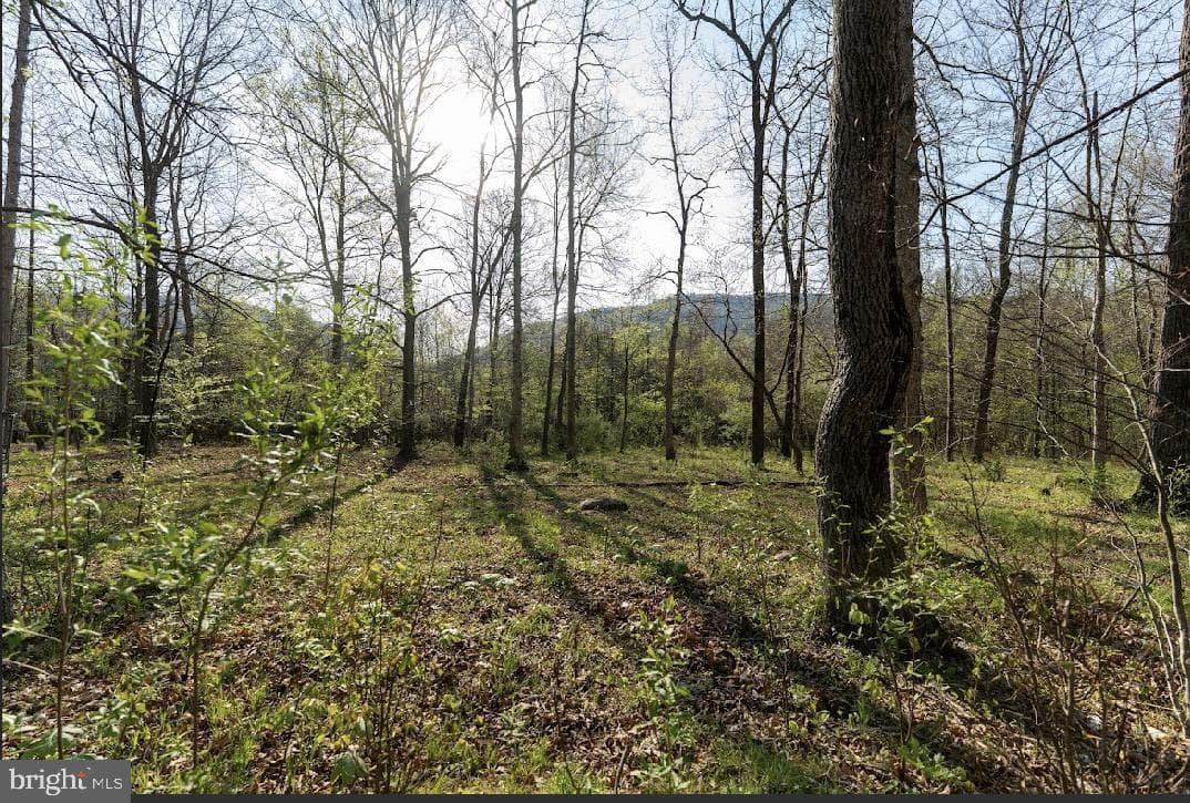 11016 Colt Drive photo 18