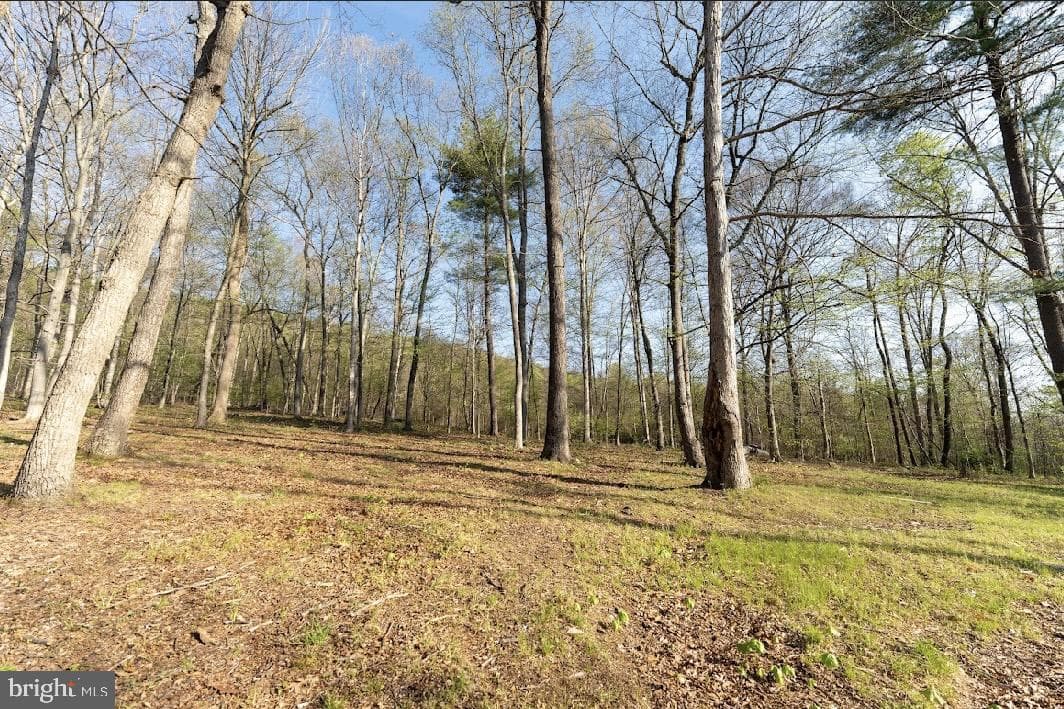 11016 Colt Drive photo 20