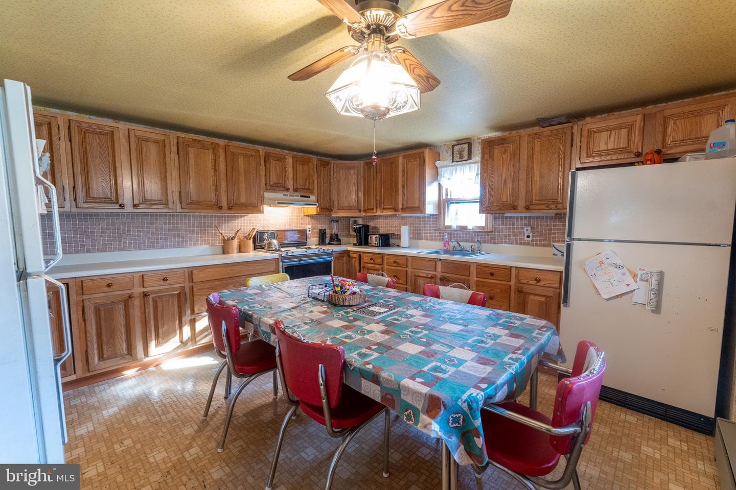 11016 Colt Drive photo 3