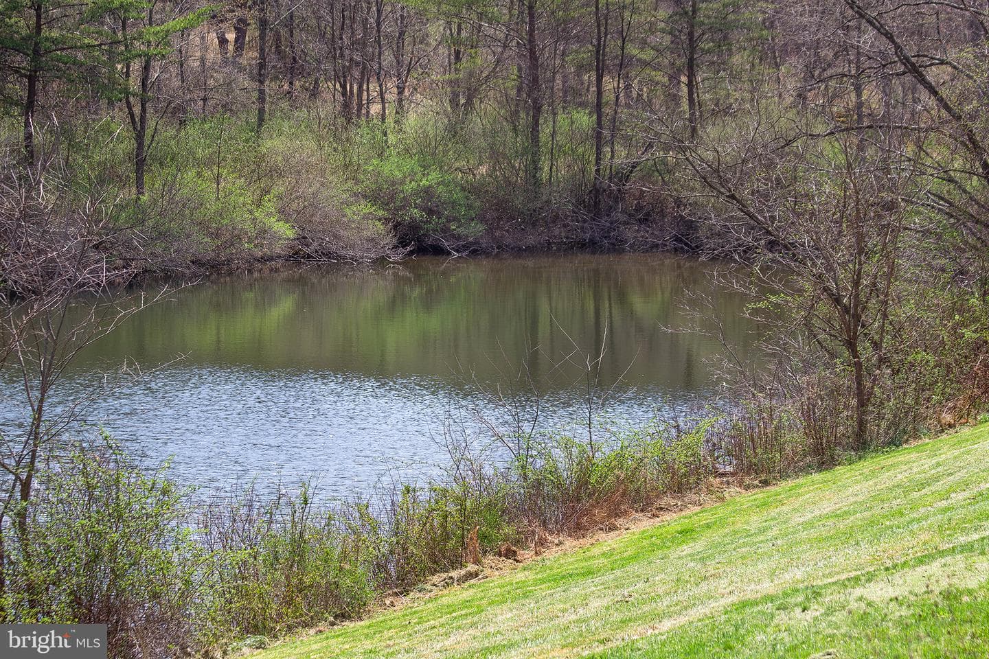 11907 Colyer Lane photo 60