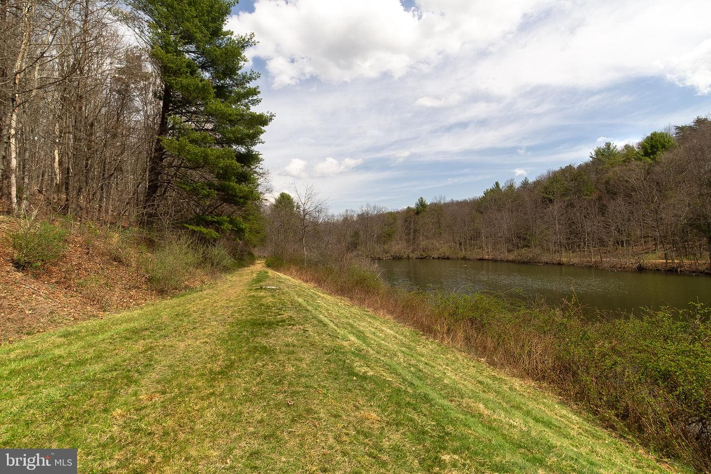 11907 Colyer Lane photo 77