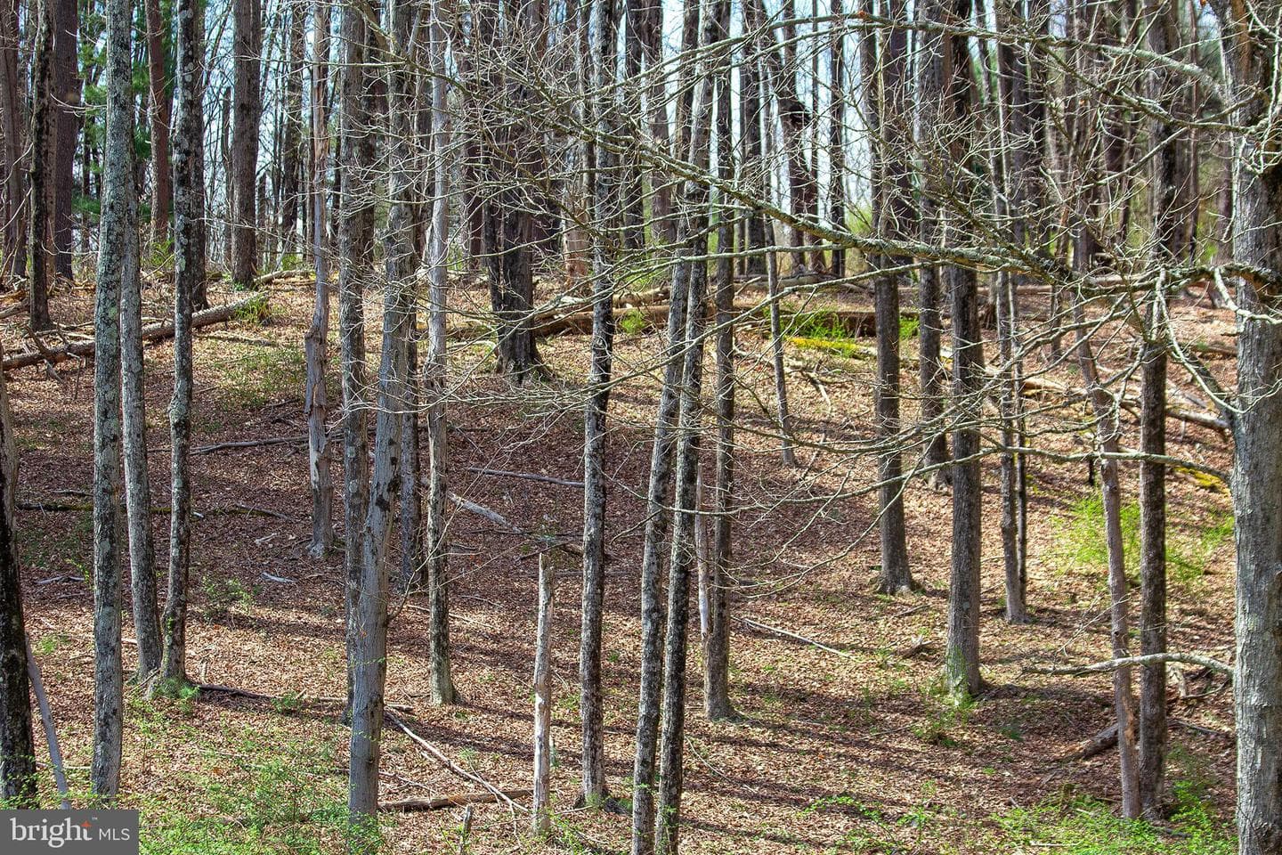 11907 Colyer Lane photo 80