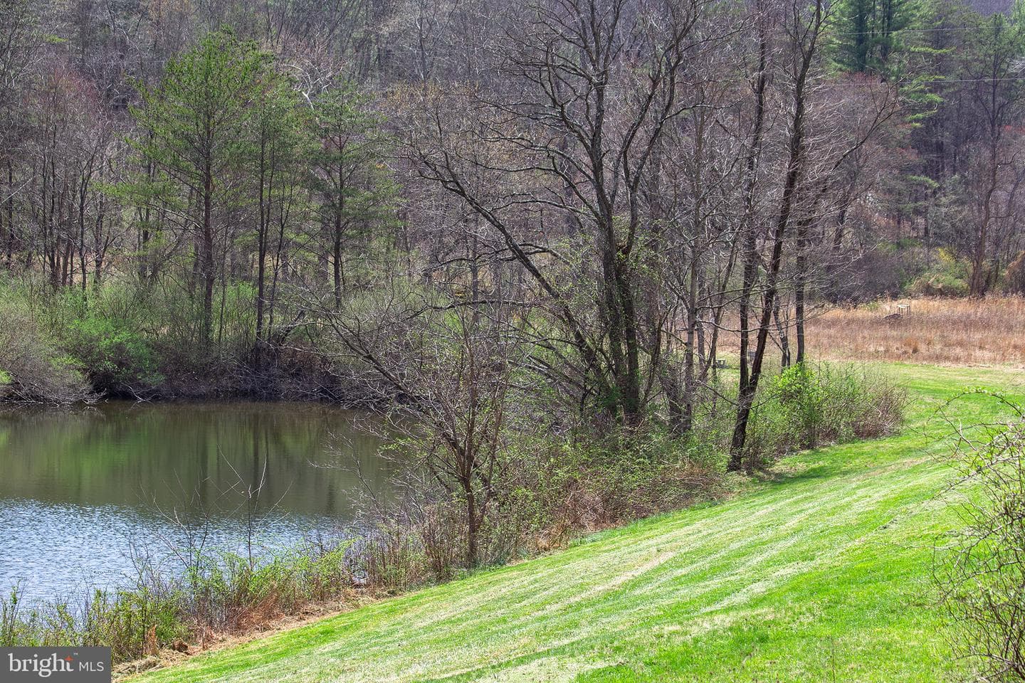 11907 Colyer Lane photo 81