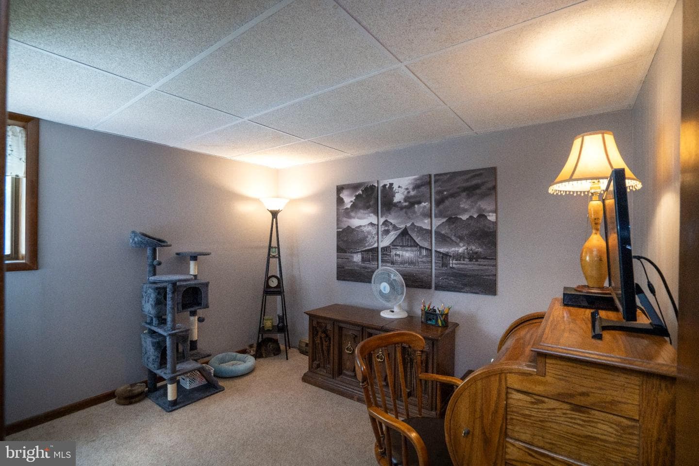 11329 Brandy Drive photo 20