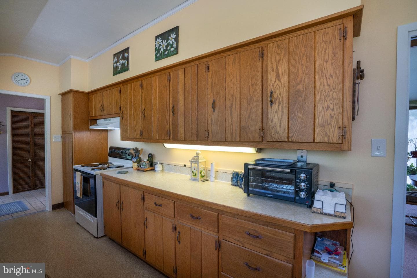 11329 Brandy Drive photo 9