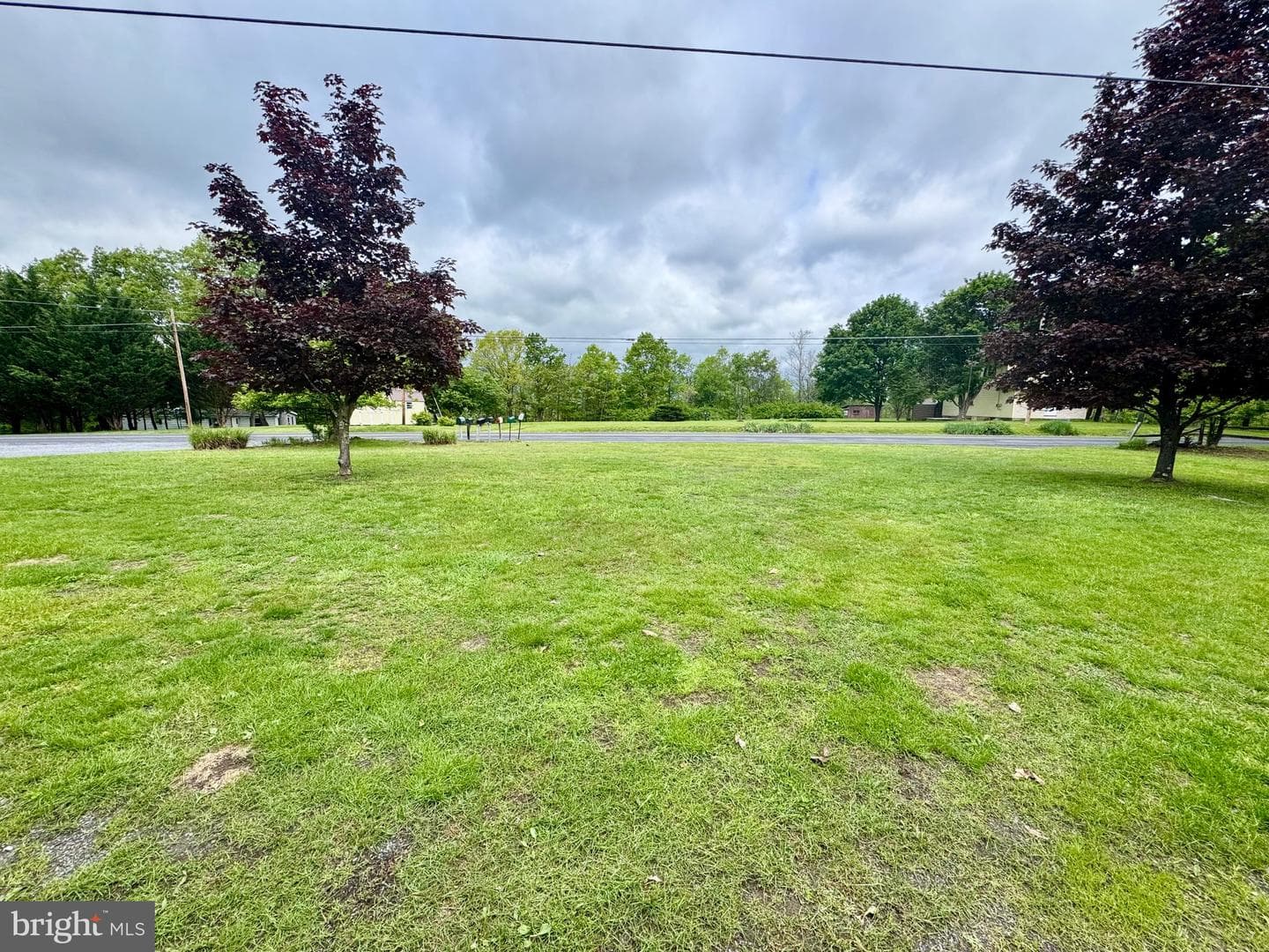13371 Piney Ridge Road photo 47