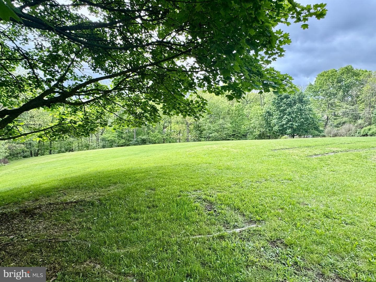 13371 Piney Ridge Road photo 51