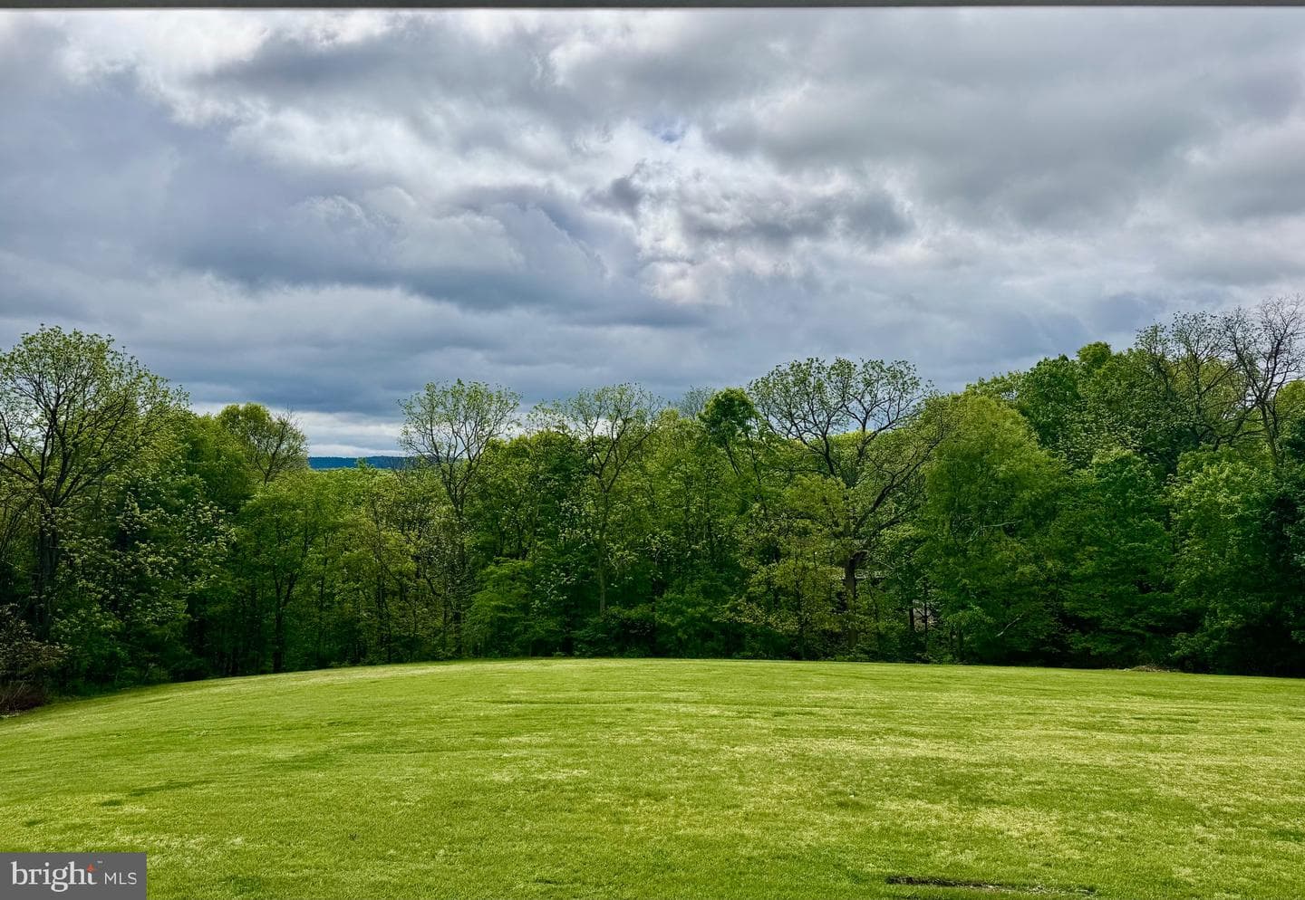 13371 Piney Ridge Road photo 64