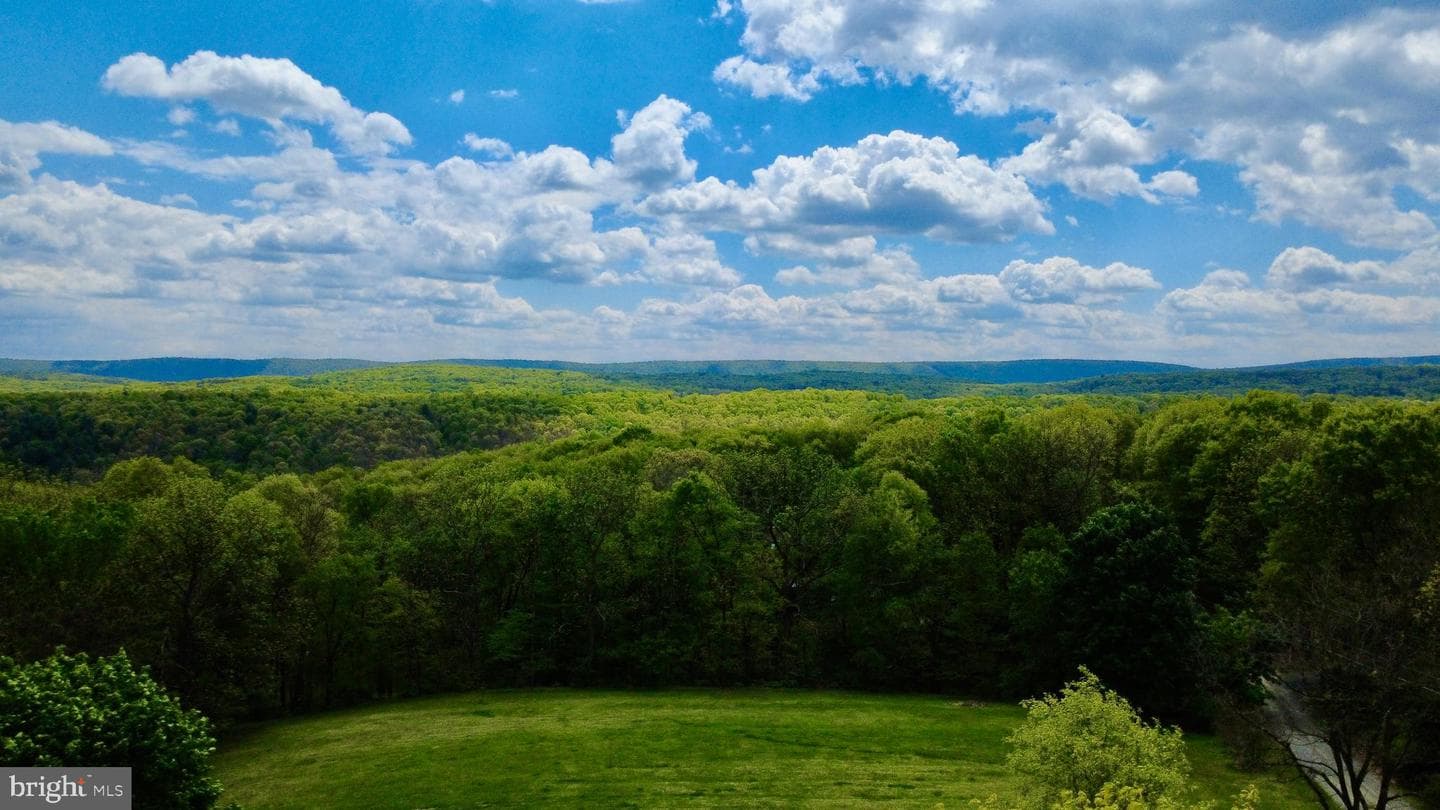 13371 Piney Ridge Road photo 72