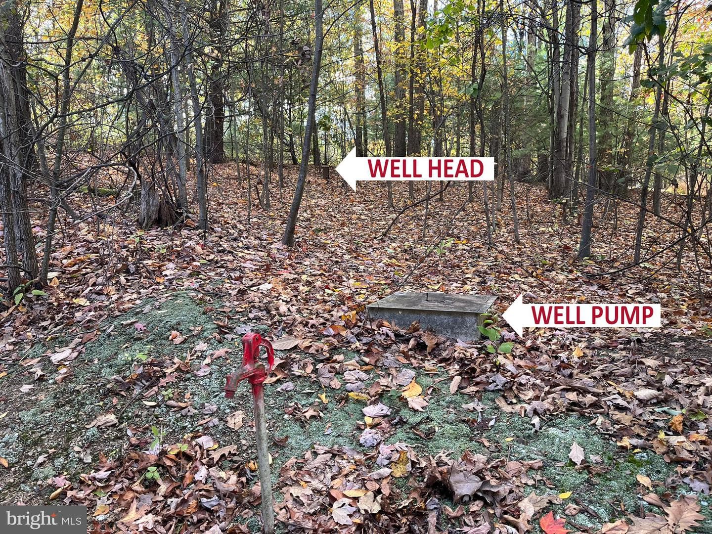 9766 Valley View Road photo 29