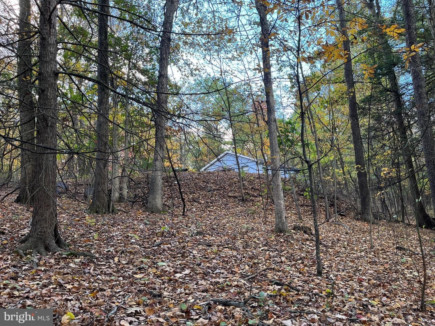 9766 Valley View Road photo 30