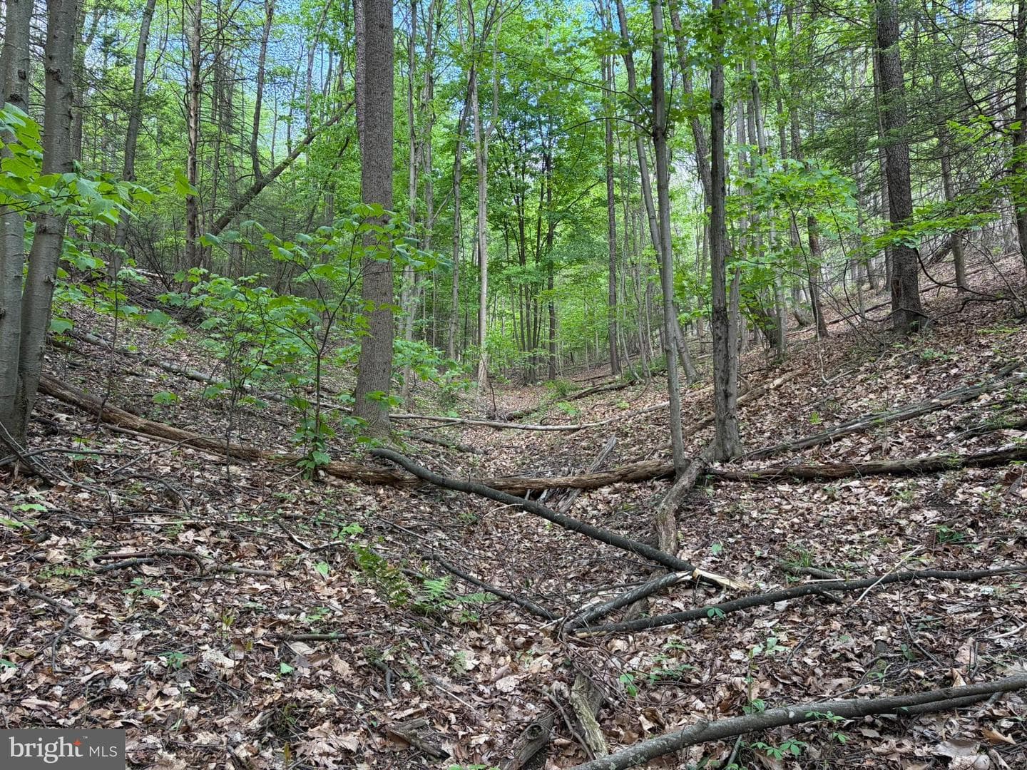 9766 Valley View Road photo 34