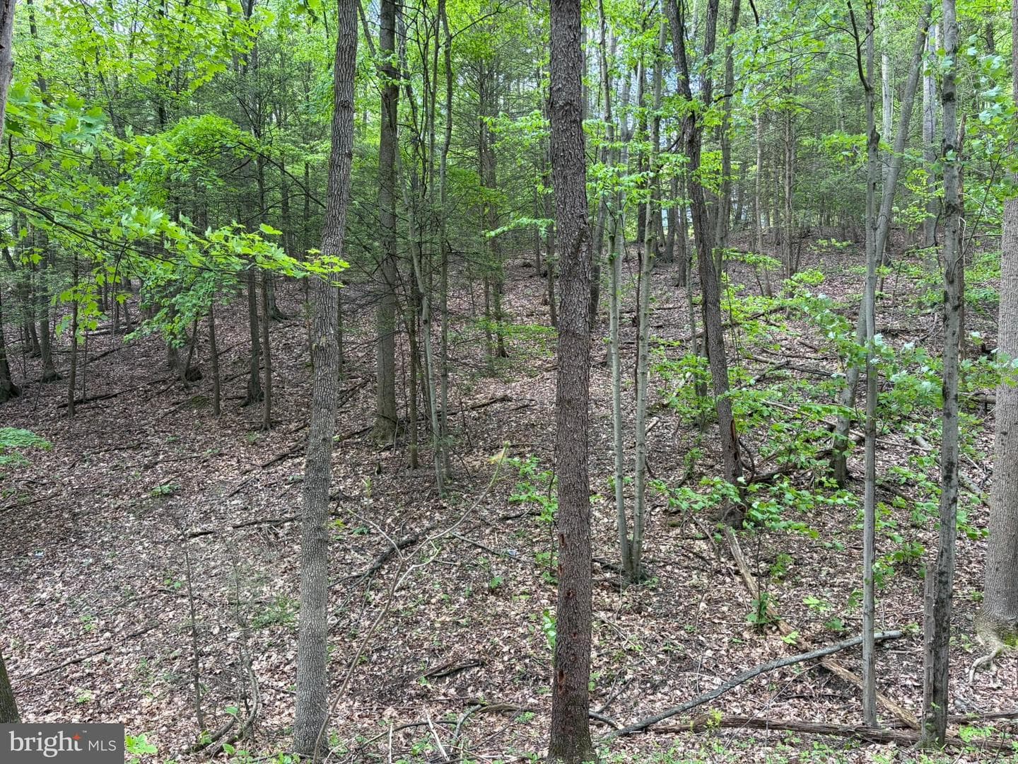 9766 Valley View Road photo 36