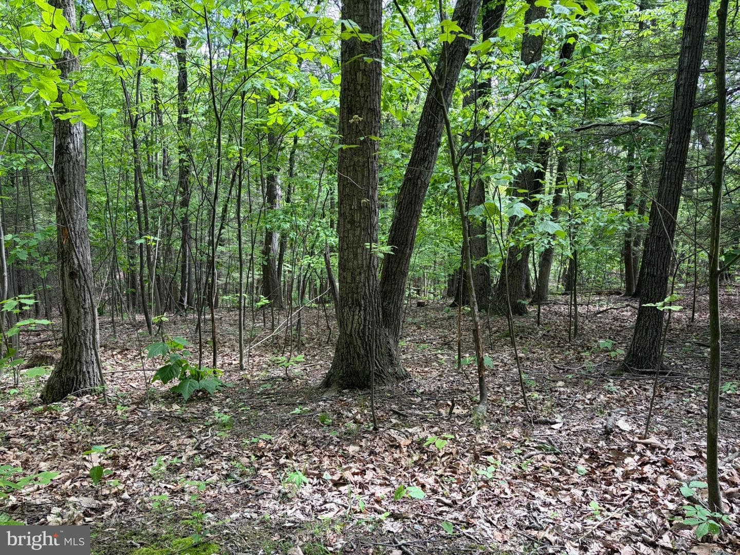 9766 Valley View Road photo 37
