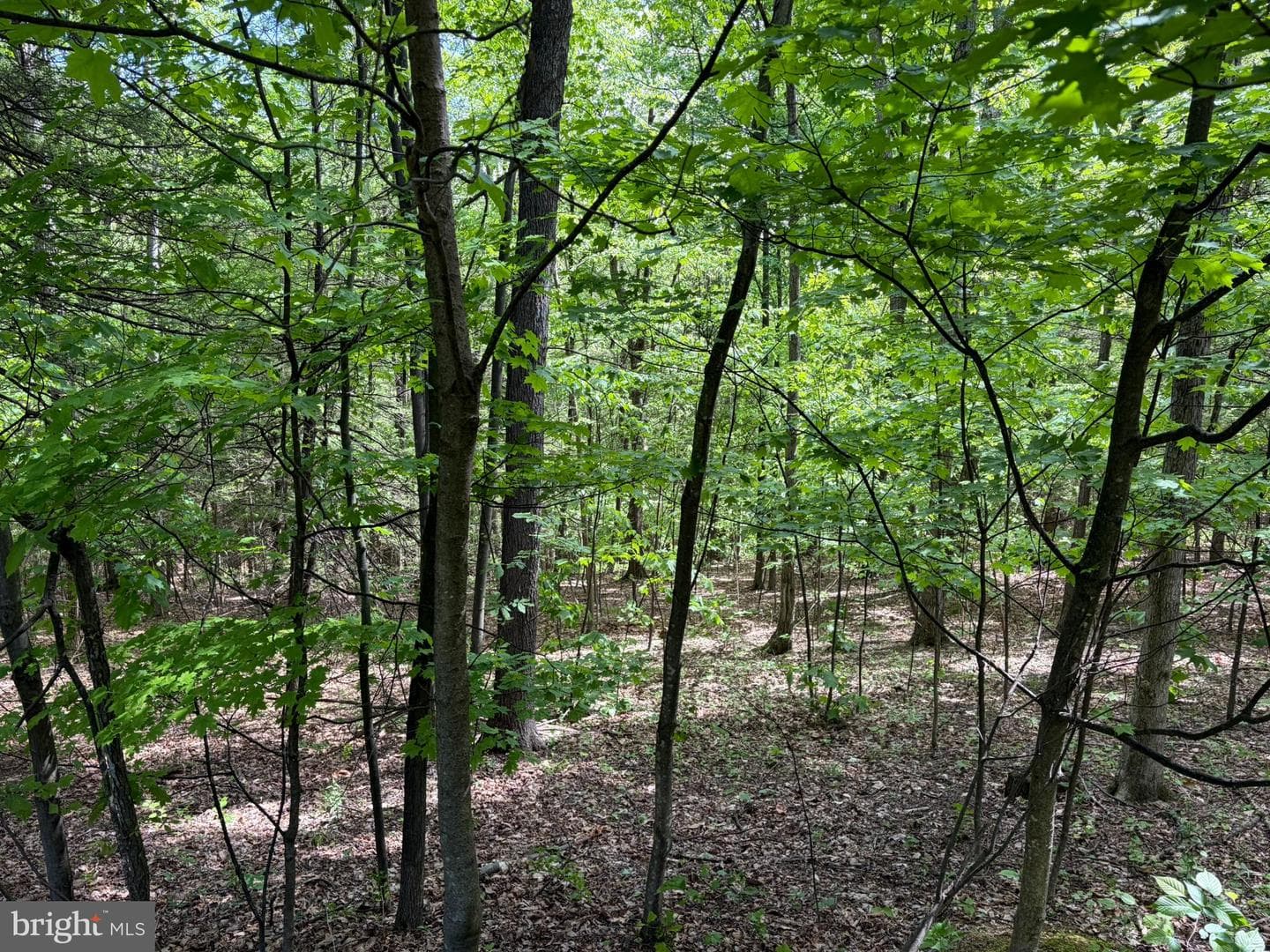 9766 Valley View Road photo 41