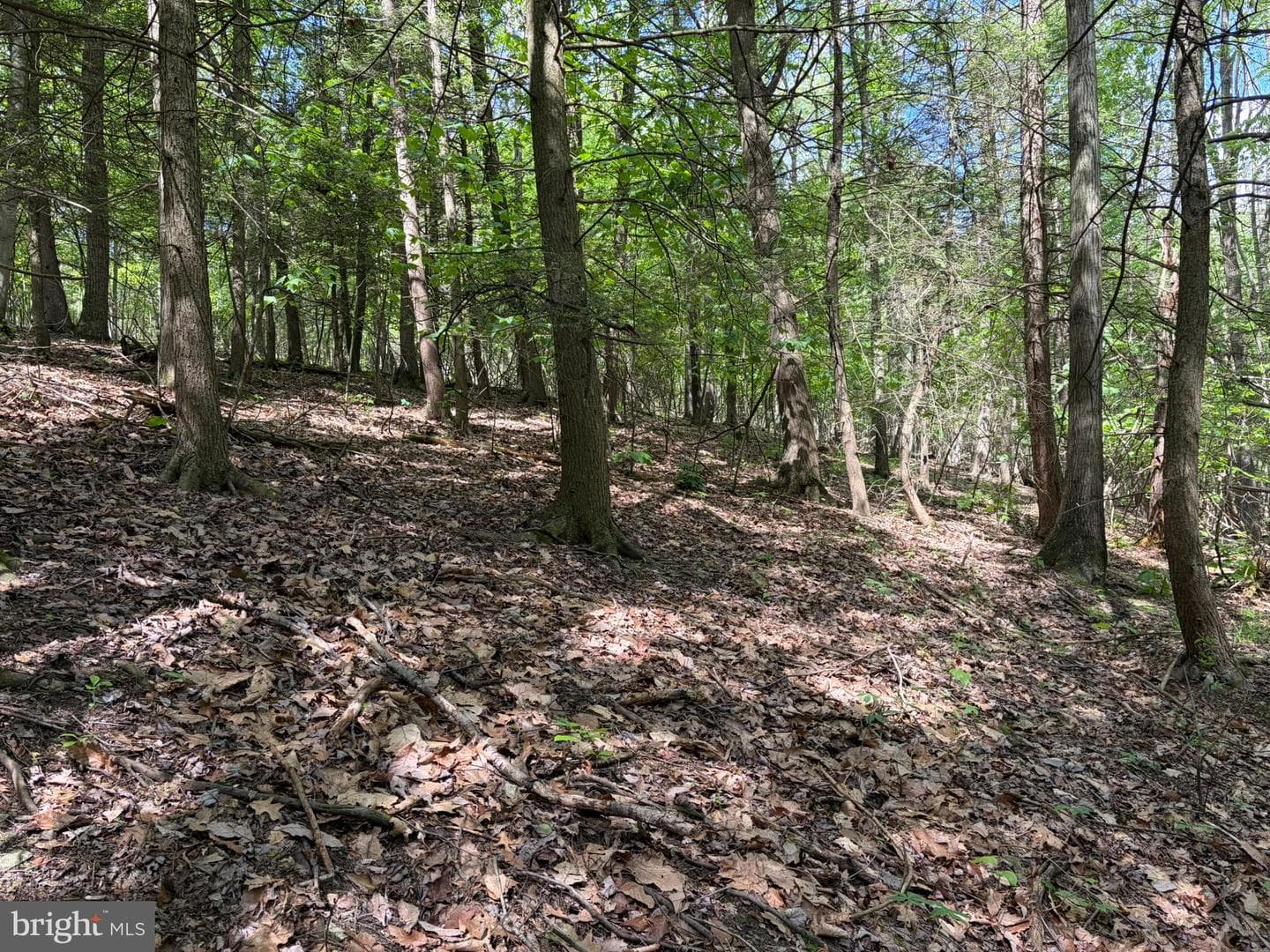 9766 Valley View Road photo 42