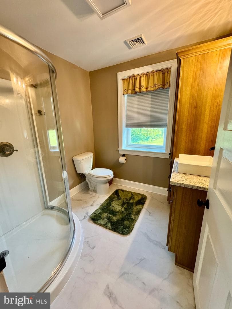11698 Chaney Spring Road photo 51