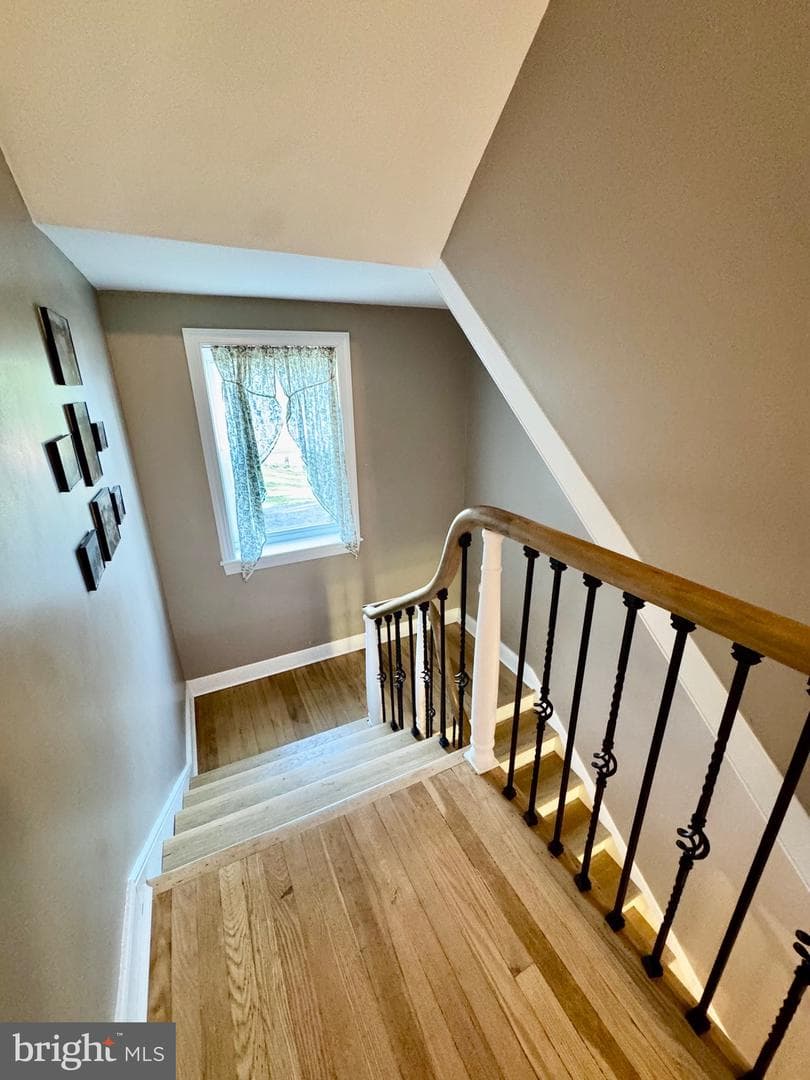 11698 Chaney Spring Road photo 63