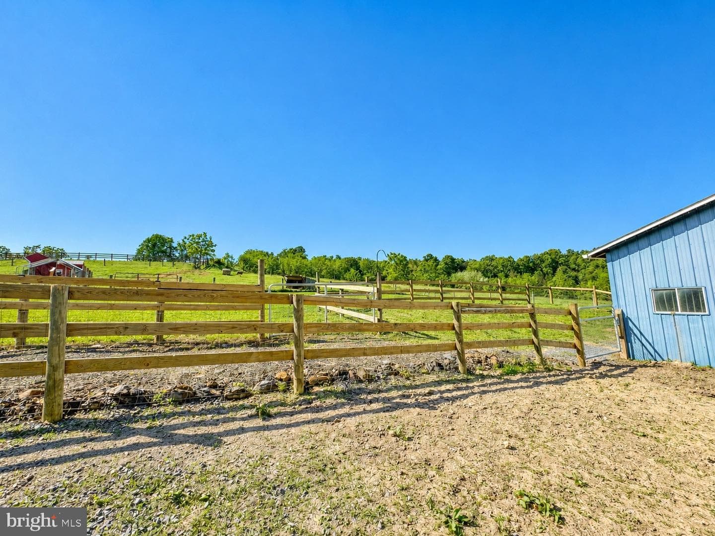 11698 Chaney Spring Road photo 68