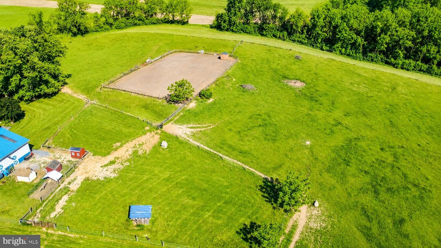11698 Chaney Spring Road photo 76