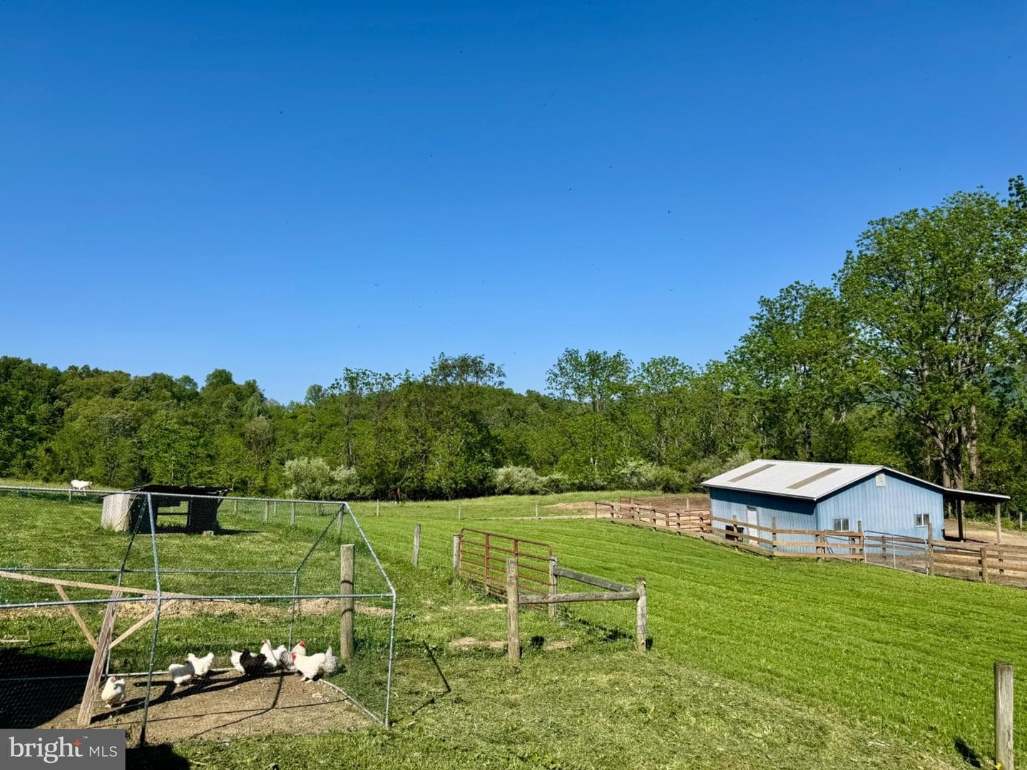 11698 Chaney Spring Road photo 82
