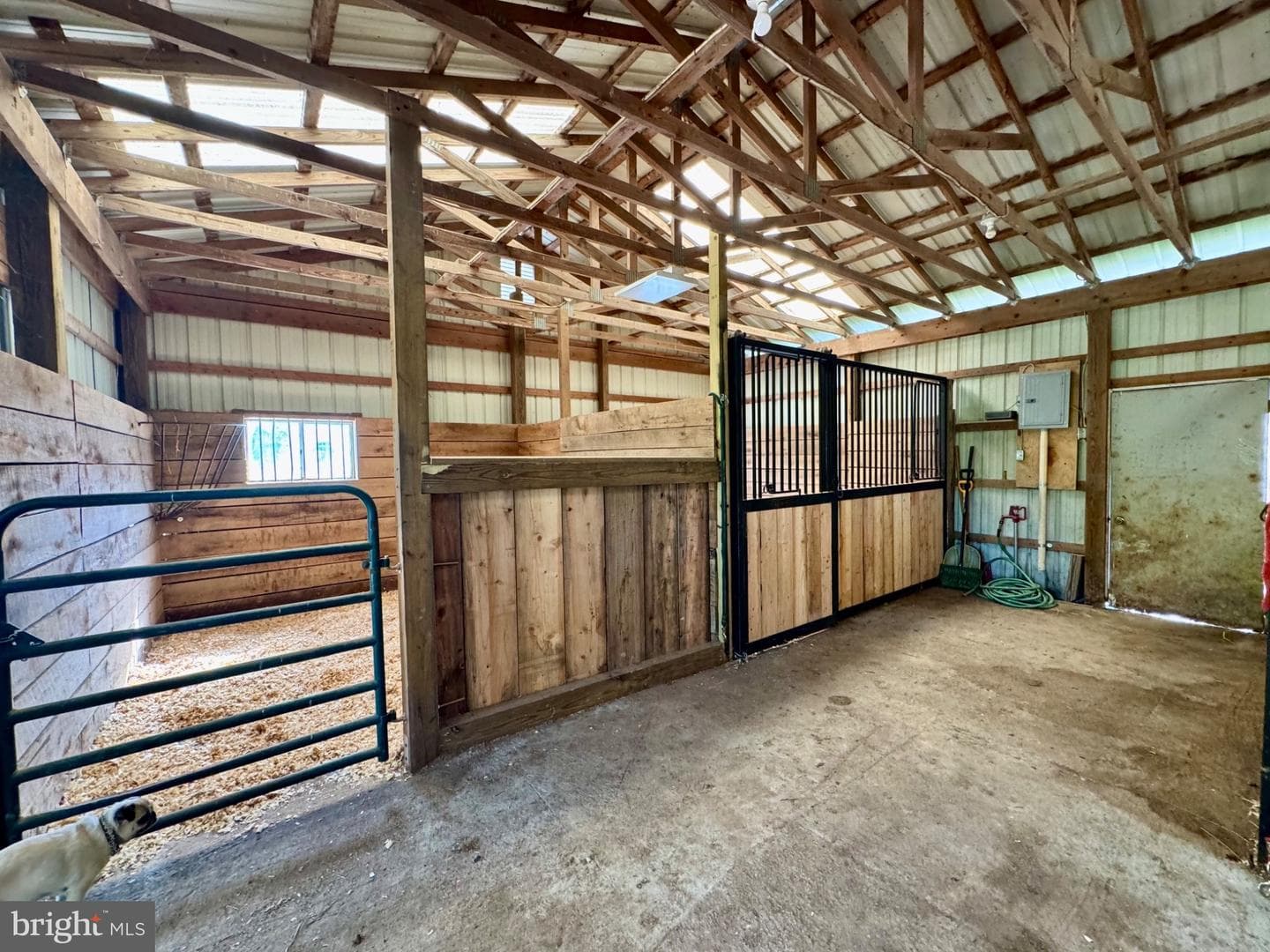 11698 Chaney Spring Road photo 84