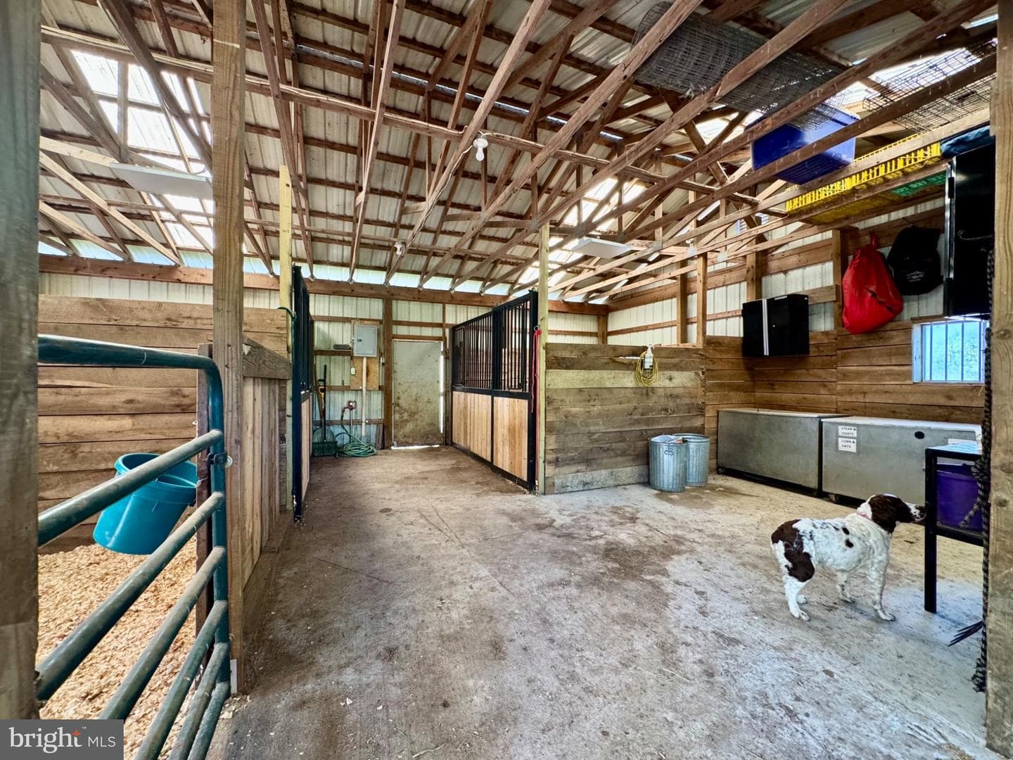 11698 Chaney Spring Road photo 86