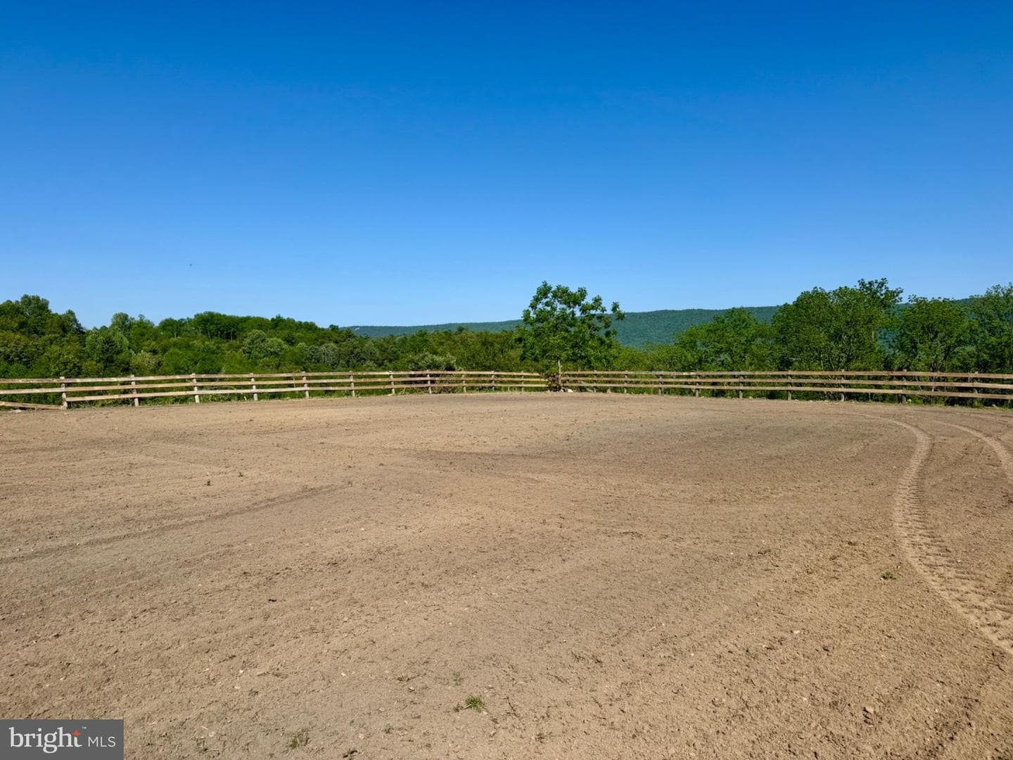 11698 Chaney Spring Road photo 90