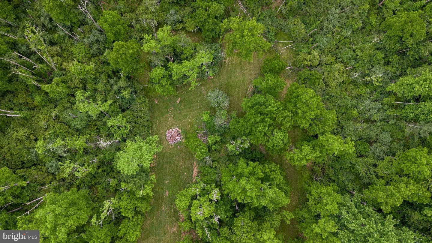 3629 Charter Oak Road photo 39