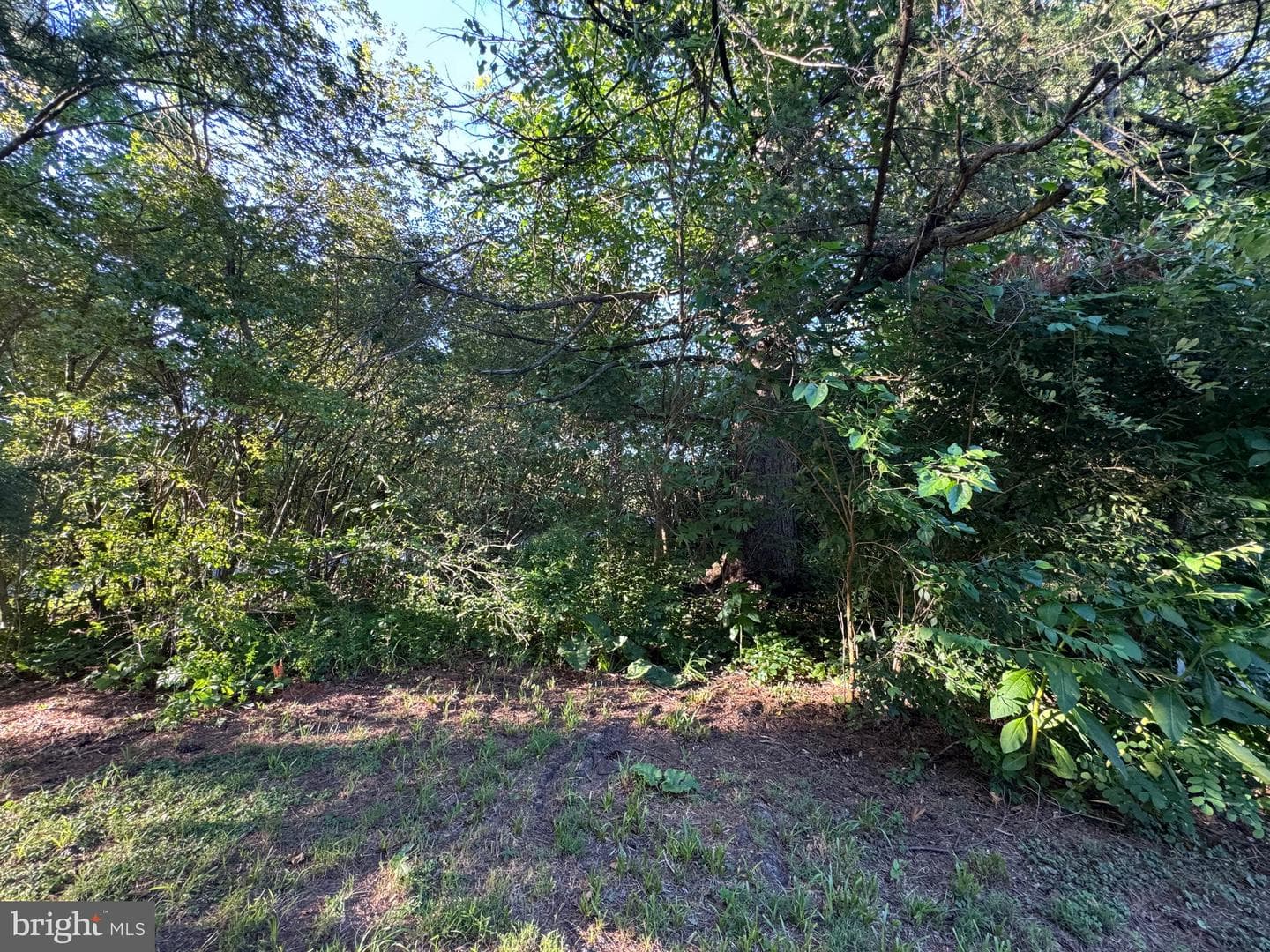 4667 Harper Hill Road photo 12